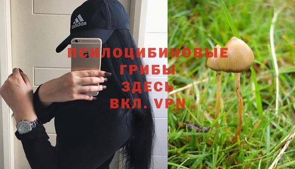 мяу мяу мука Покачи