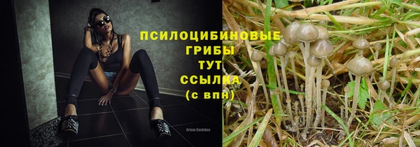 мяу мяу мука Покачи