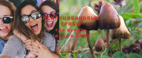 мяу мяу мука Покачи