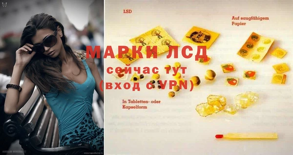 мяу мяу мука Покачи