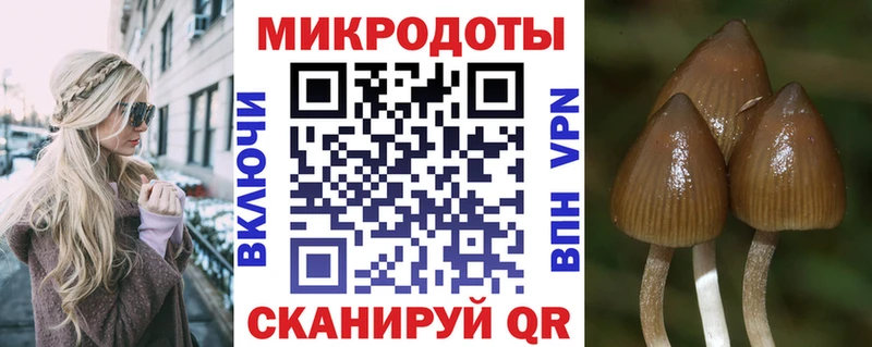 ссылка на мегу ссылка  Тихорецк  Галлюциногенные грибы Cubensis 