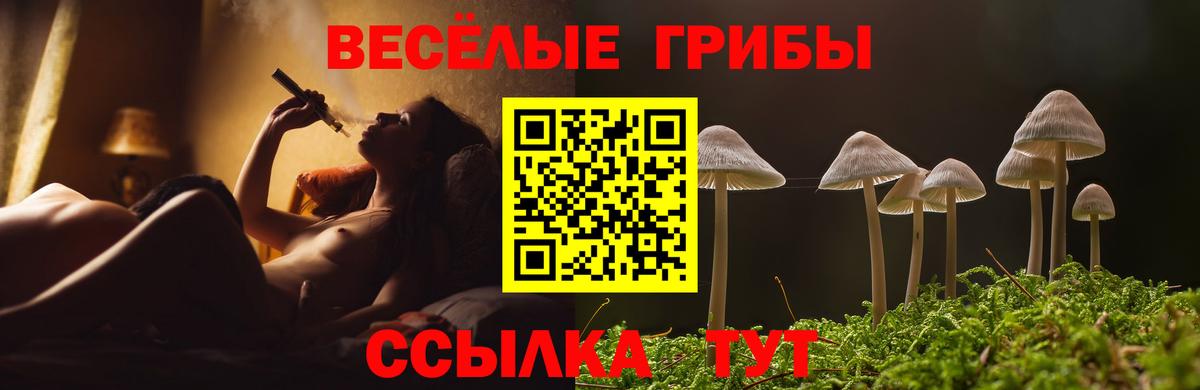 Галлюциногенные грибы Cubensis  Галлюциногенные грибы GOLDEN TEACHER  Тихорецк  Вход с VPN 